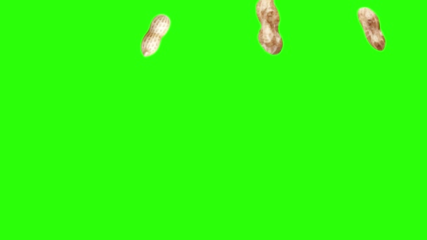 Groupe d'animation arachides sur écran vert chroma key, éléments graphiques source