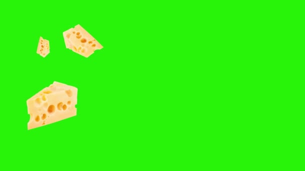 Cheese Slices Animation Graphic Source Element Chroma Key — Stock Video