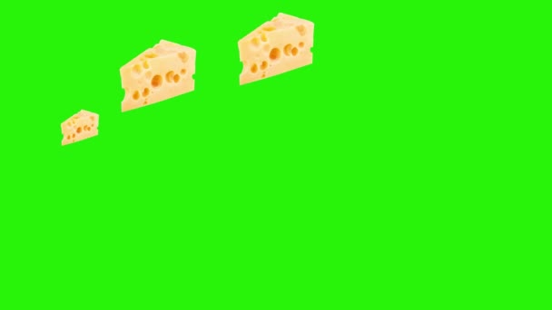 Cheese Slices Animation Graphic Source Element Chroma Key — Stock Video