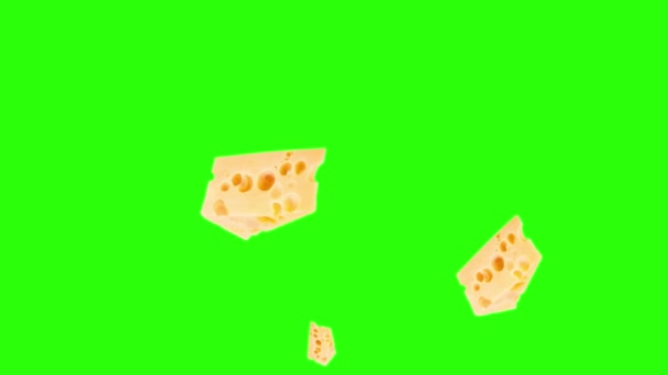 Τυρί Φέτες Animation Γραφικό Στοιχείο Πηγής Chroma Κλειδί — Αρχείο Βίντεο