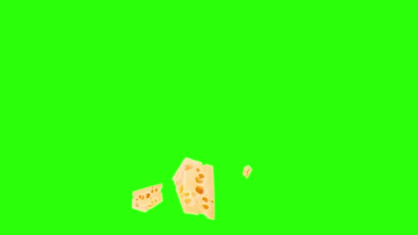 Queso Rebanadas Animación Elemento Fuente Gráfica Croma Clave — Vídeo de stock