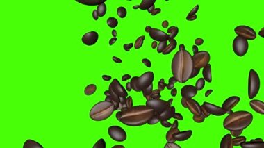 Kahve çekirdekleri düşen 3d animasyon, yeşil ekran krom anahtar