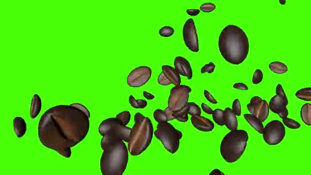 Chicchi Caffè Che Cadono Animazione Chiave Cromatica Schermo Verde — Video Stock