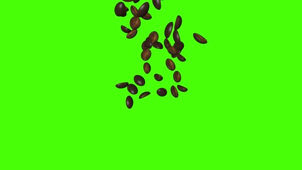 Kávová Zrna Padající Animace Zelená Obrazovka Chroma Key — Stock video