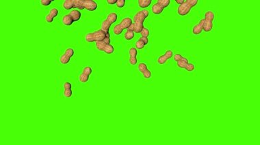 Yeşil ekran krom anahtar arka planında düşen 3 boyutlu fıstıklar