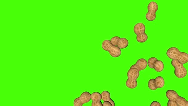 Peanuts Falling Animation Green Screen Chroma Key Background — Stock Video