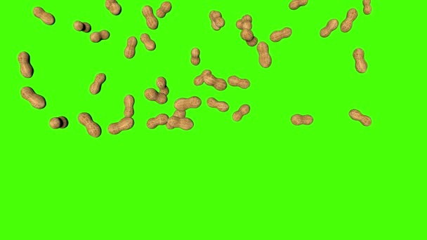 Peanuts Falling Animation Green Screen Chroma Key Background — Stock Video