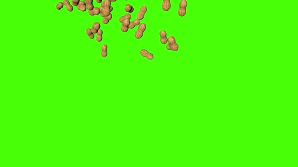 Cacahuetes Caída Animación Pantalla Verde Croma Clave Fondo — Vídeos de Stock