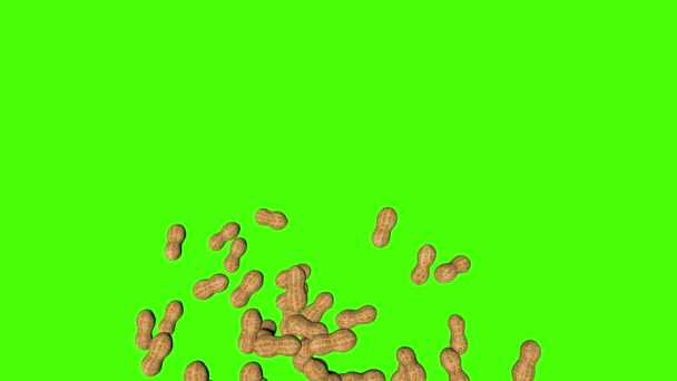 Peanuts Fallen Animation Auf Grünem Bildschirm Chroma Taste Hintergrund — Stockvideo