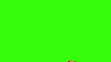 Cadılar Bayramı kabak grubu animasyonu, kroma anahtarı, grafik kaynak elementler