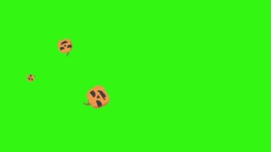 Cadılar Bayramı kabak grubu animasyonu, kroma anahtarı, grafik kaynak elementler