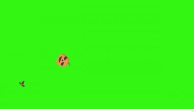 Cadılar Bayramı grafik ögeleri grubu animasyon yeşil ekran kroma anahtarı