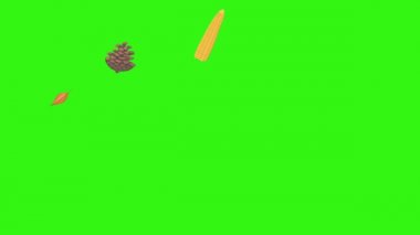 sonbahar tema tasarım elemanları animasyon, yeşil ekran krom anahtarı üzerinde grafik kaynağı