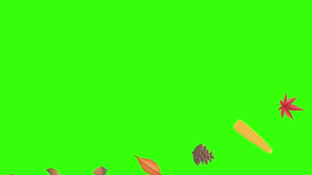 automne thème éléments de conception animation, source graphique sur l'écran vert chroma clé
