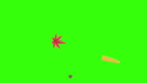 automne thème éléments de conception animation, source graphique sur l'écran vert chroma clé