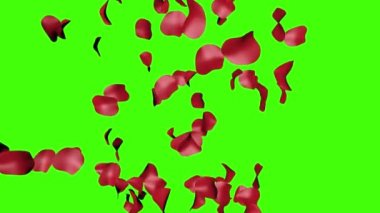 Yeşil ekran kroma anahtarı üzerinde gül yaprakları grup animasyonu, grafik kaynak tasarım ögesi