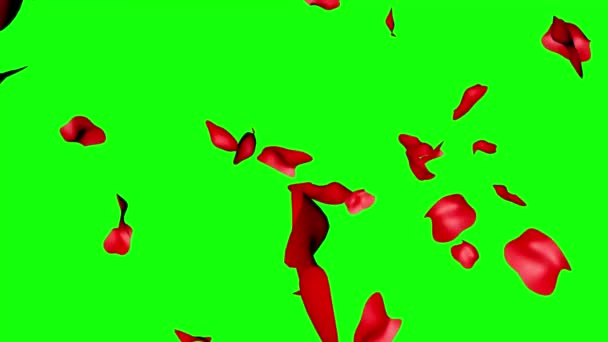 Animação Grupo Pétalas Rosa Chave Croma Tela Verde Elemento Design — Vídeo de Stock