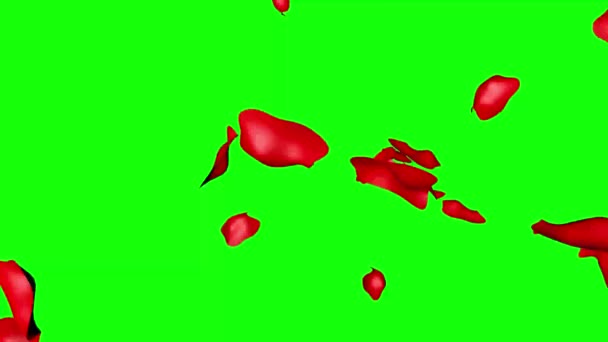 Rosenblätter Gruppenanimation Auf Grünem Bildschirm Chroma Taste Grafik Quelle Design — Stockvideo