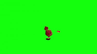 patlayan kalpler grubu