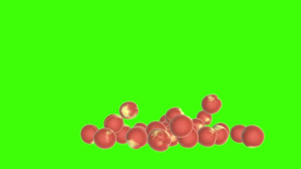 Персики фрукты падают зеленый экран — стоковое видео