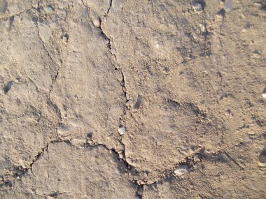 eski duvar dokusu veya arkaplanı