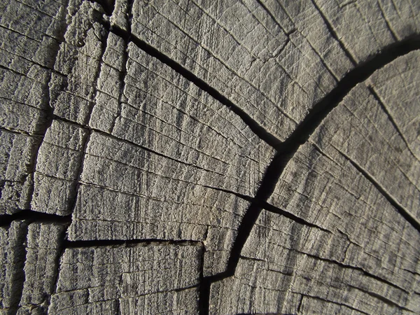 Tekstur kayu atau latar belakang — Stok Foto