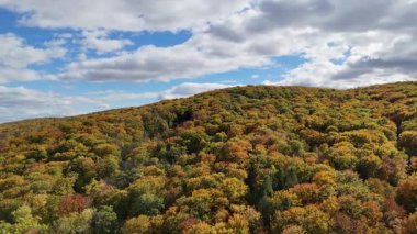Romanya tepelerindeki renkli sonbahar ormanlarının havadan görünüşü