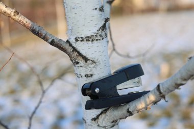 Kağıt zımba aracı, ofis nesnesi