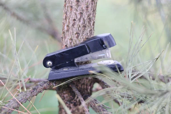 Kağıt zımba aracı, ofis nesnesi