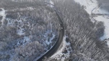 Orman manzarası, donmuş beyaz ağaçlarla kış zamanı.
