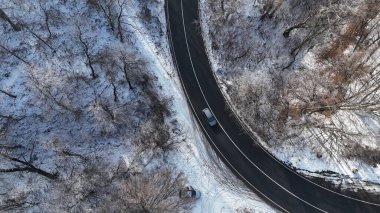 Orman manzarası, donmuş beyaz ağaçlarla kış zamanı.