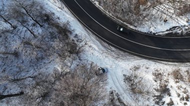Orman manzarası, donmuş beyaz ağaçlarla kış zamanı.