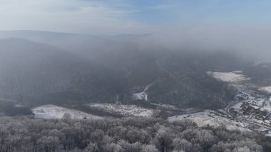 Orman manzarası, donmuş beyaz ağaçlarla kış zamanı.