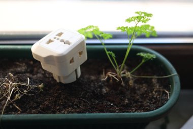 Avrupa elektrik prizi adaptörü ve seyahat için uluslararası prize soket aygıtı