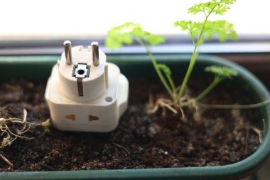 Avrupa elektrik prizi adaptörü ve seyahat için uluslararası prize soket aygıtı