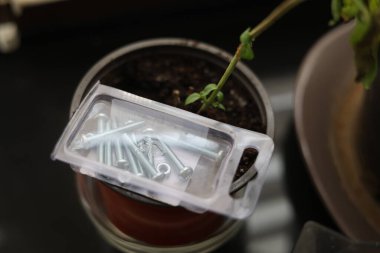 Şeffaf plastik kutuya vida yerleştirildi