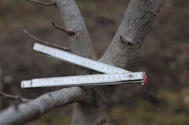 Eski kullanılmış ahşap marangozluk ölçüm aracı