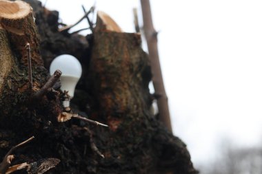 Elektrikli ekonomi ampul konsepti vuruldu