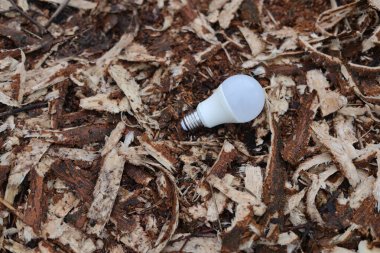 Elektrikli ekonomi ampul konsepti vuruldu