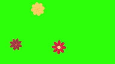 Çiçekler yeşil ekranda canlandırma hareketi, tasarım elementleri