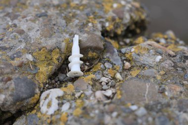 Alçı kaplama, alçı işçiliği için plastik element