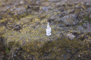 Alçı kaplama, alçı işçiliği için plastik element