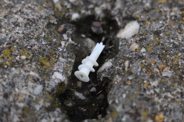 Alçı kaplama, alçı işçiliği için plastik element