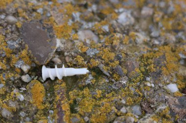 Alçı kaplama, alçı işçiliği için plastik element