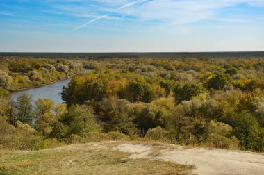 Sonbahar doğası. ufukta, yüksek ağaçlar, mavi gökyüzü ve nehir. 