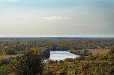 Sonbahar doğası. ufukta, yüksek ağaçlar, mavi gökyüzü ve nehir. 