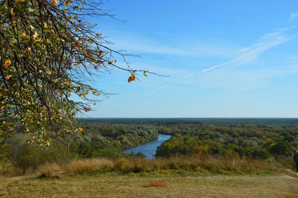 Sonbahar doğası. ufukta, yüksek ağaçlar, mavi gökyüzü ve nehir. 
