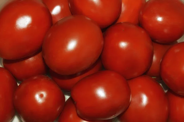 Rode Rijpe Tomaten Achtergrond Voor Het Ontwerp — Stockfoto