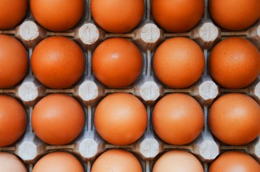 Hücrelerde kahverengi tavuk yumurtası. Kahvaltı yemeği. Paskalya tatili için dekorasyon arkaplanı.