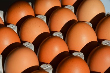 Hücrelerde kahverengi tavuk yumurtası. Kahvaltı yemeği. Paskalya tatili için dekorasyon arkaplanı.